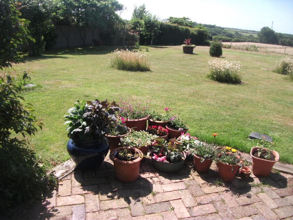 Crowhurst  St Benedicts Byre B&B المظهر الخارجي الصورة